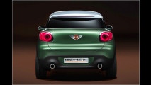 Countryman als Coupé