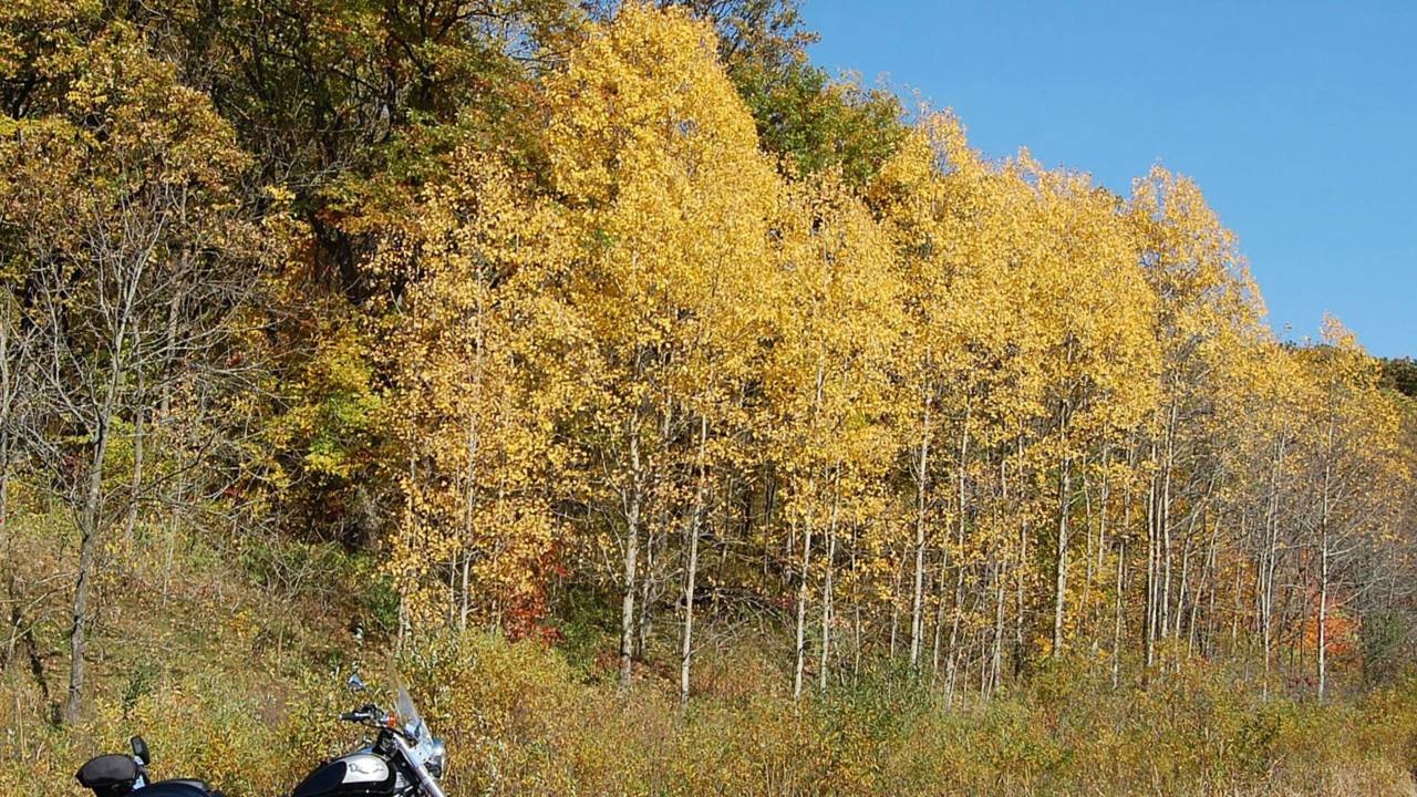 It's Fall - Time To Plan A Color Ride