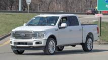 2019 Ford F-150 Limited casus fotoğraf