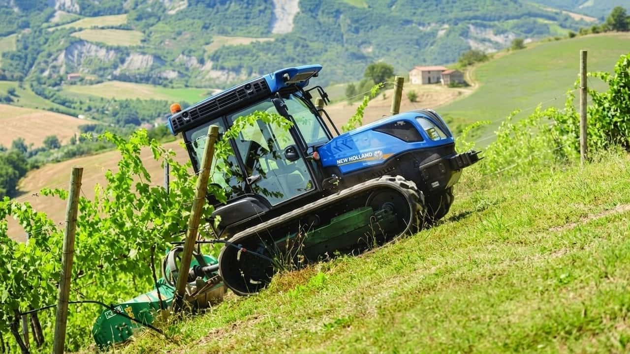 perche-lolio-ligure-vale-cosi-tanto-nonostante-i-pochi-ettari