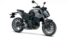 Suzuki gama Naked 2024