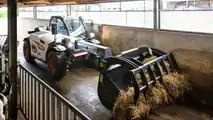 foto Bobcat telescopico super compatto TL25.60 AGRI