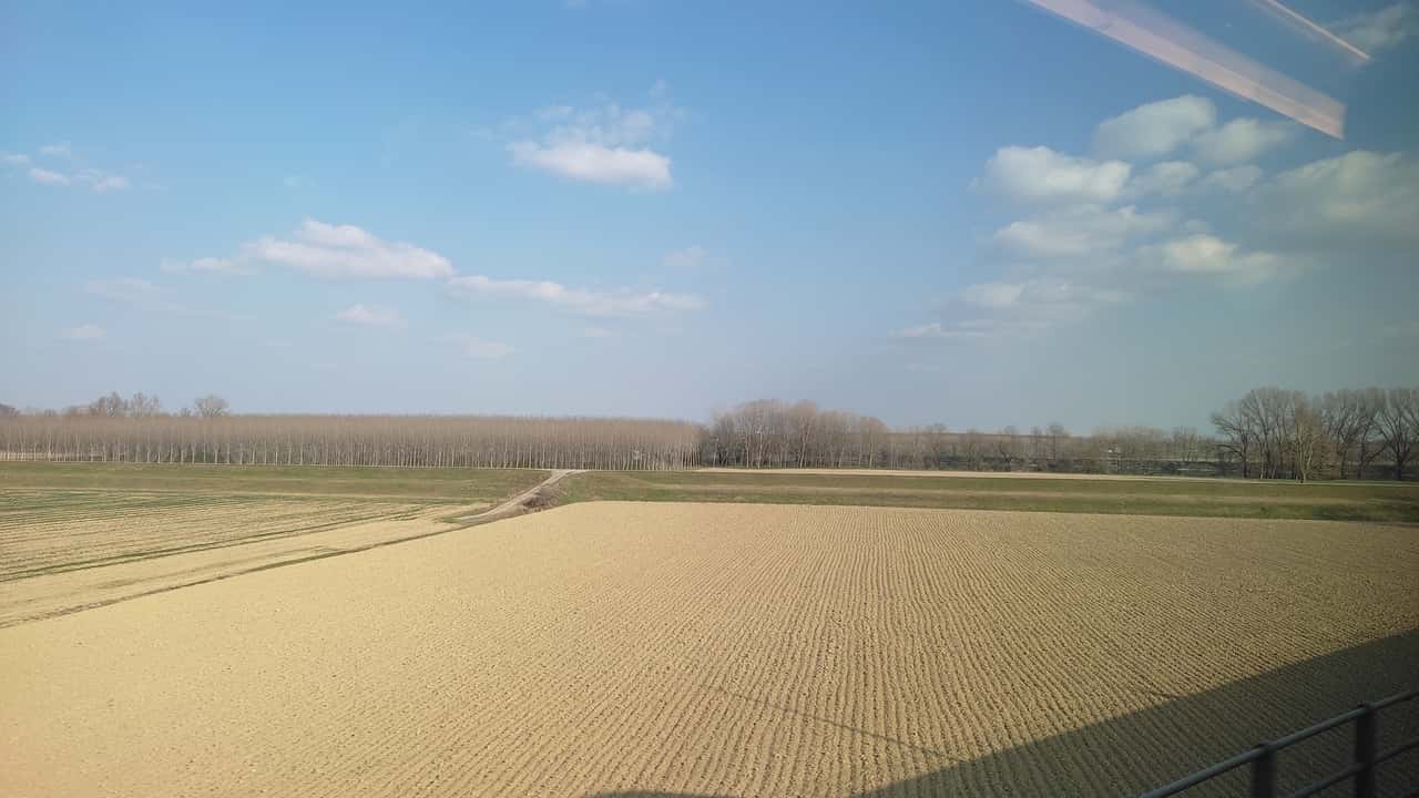 Giovani in agricoltura: 150 milioni e terreni gratis