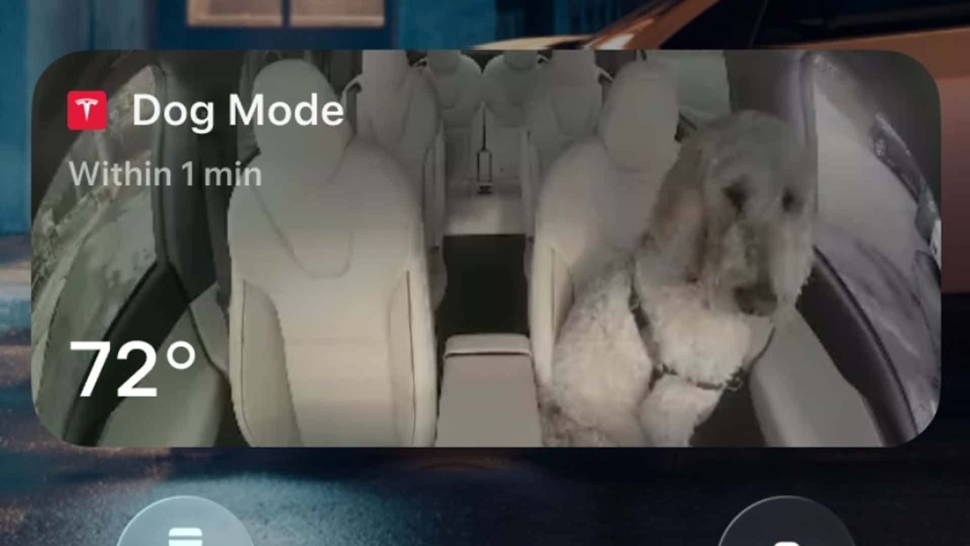 Tesla’s holiday update brings a ton of really useful features – and shows that Tesla still has it