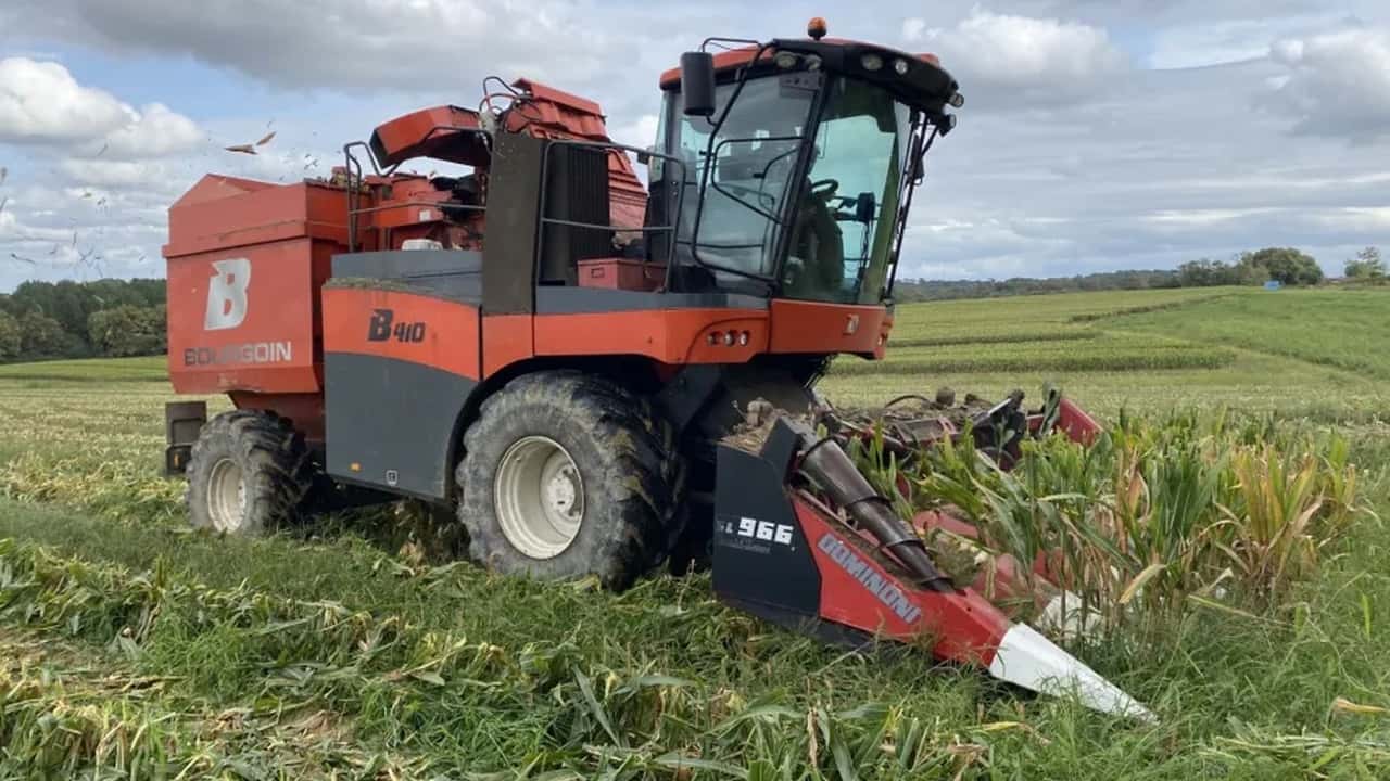 Bourgoin B410: mietitrebbia per mais da seme