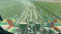 Integrazione tra diserbo chimico e meccanico in soia post emergenza per gestire infestanti, resistenze e rotazioni in agricoltura conservativa
