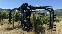 Enovitis in Campo 2026: tutte le novità tra i filari del Chianti