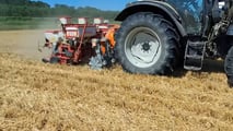 Strip till per soia: preparare il letto di semina solo in fila