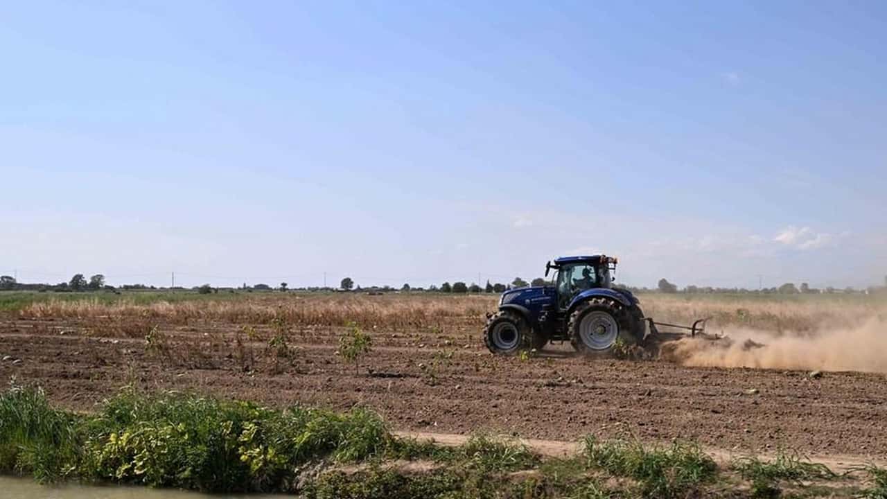 Clima estremo: 20 miliardi di danni in 4 anni all'agricoltura italiana. Latte -20%, gasolio +42%. I numeri della crisi 2026