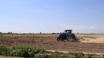 Clima estremo: 20 miliardi di danni in 4 anni all'agricoltura italiana. Latte -20%, gasolio +42%. I numeri della crisi 2026