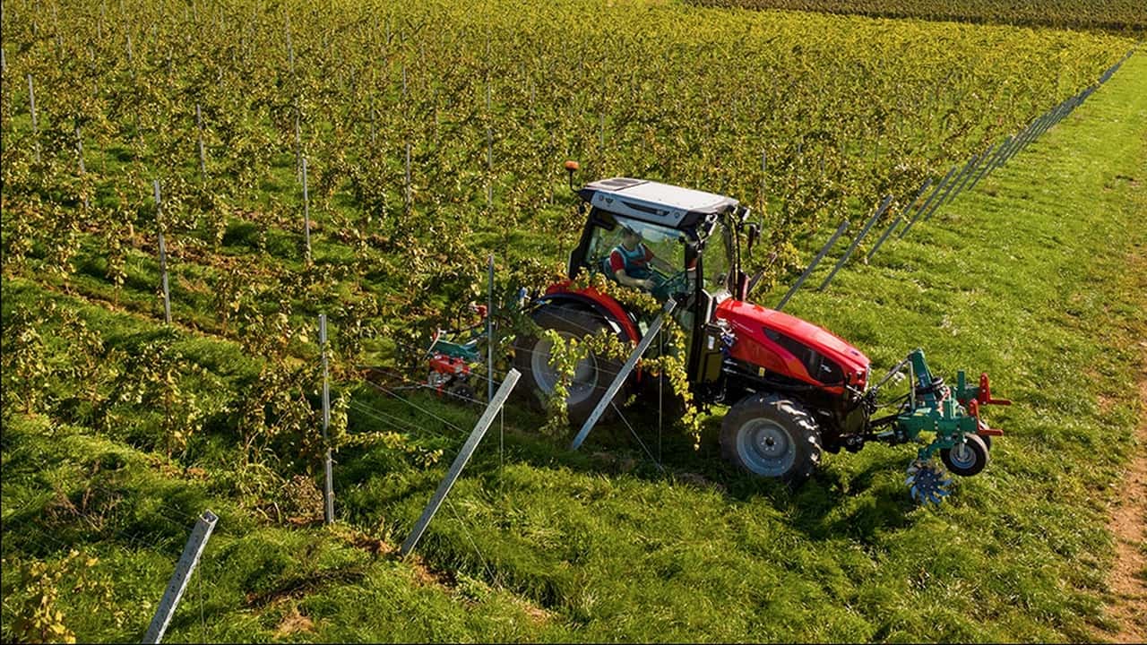Ddl Tutela Agroalimentare: più tutela per le imprese Dop