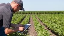 Quaderno di campagna digitale prorogato al 2026: cosa fare adesso?