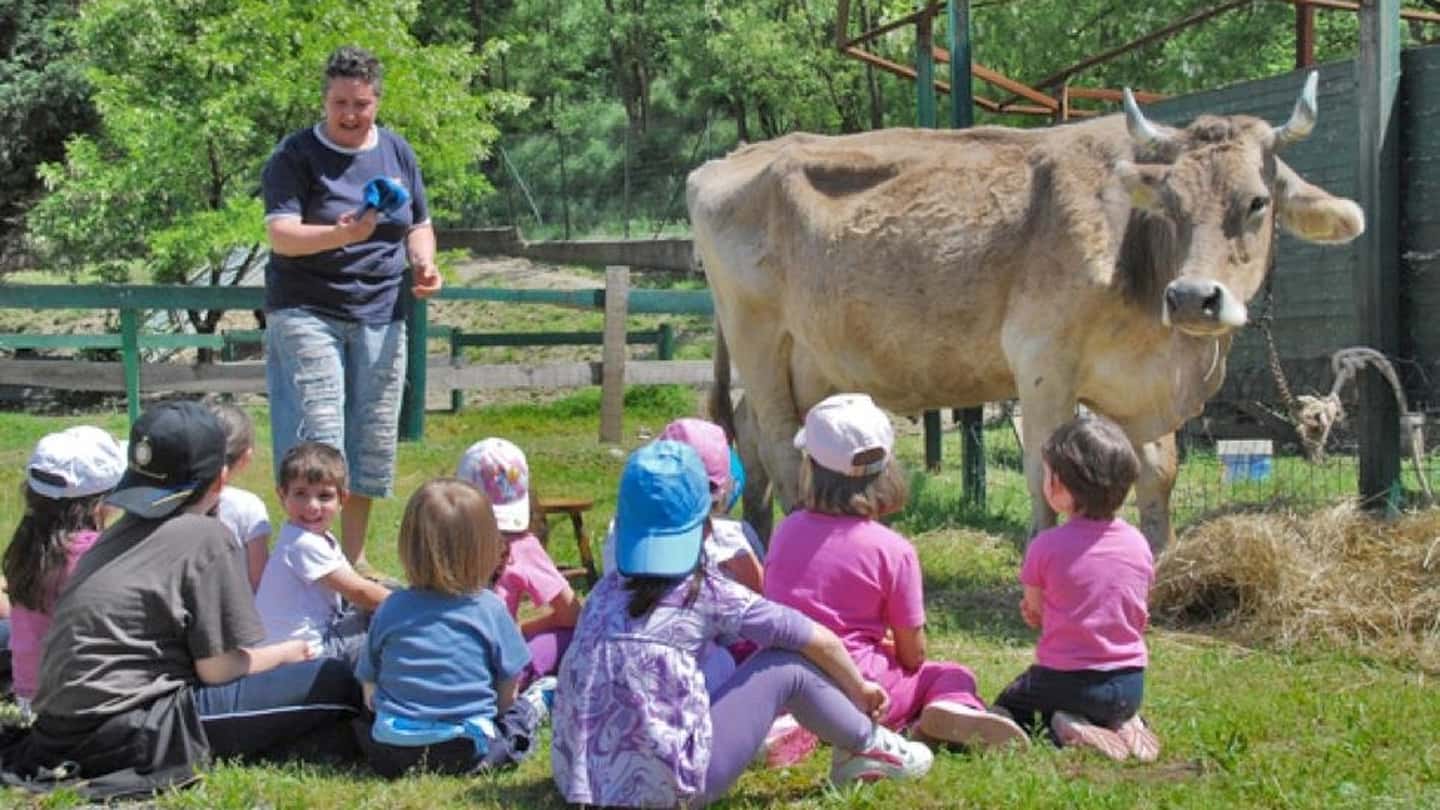 Molise, bando SRD03 agriturismi da 10 milioni: guida pratica