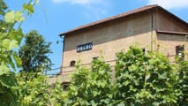 Cessione ramo d'azienda agricola: il contratto di locazione segue
