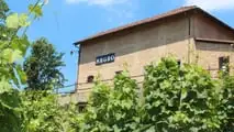 Cessione ramo d'azienda agricola: il contratto di locazione segue