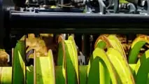 Effetti della rimappatura del trattore su turbina, frizione e DPF in condizioni di lavoro agricolo gravoso e implicazioni su affidabilità e sistemi antinquinamento