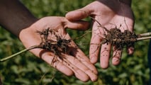 Uso pratico dei biostimolanti per aumentare la resilienza delle colture ortofrutticole a siccità, caldo e stress del suolo integrando irrigazione e gestione agronomica