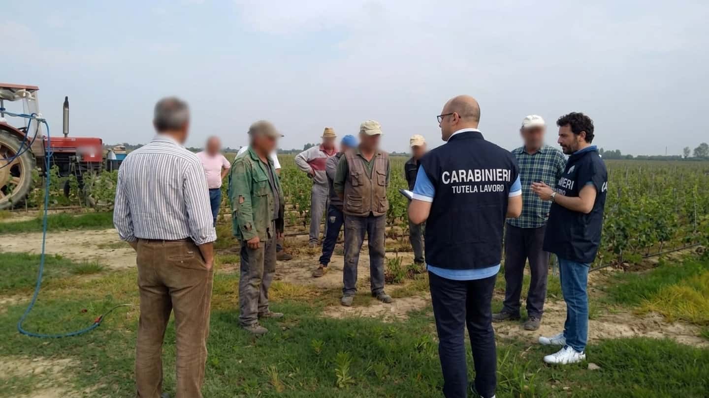 Banca dati appalti agricoli INPS contro il caporalato
