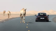 S24_0797_فاين