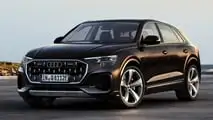 Audi Q8 TFSI e quattro (2024)
