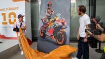 Cuadro Marc Márquez de Manu Campa