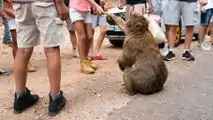 Hyundai y el Desierto de los niños 2022