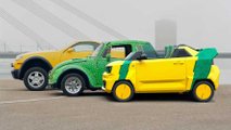 Freze Froggy EV Beachstar