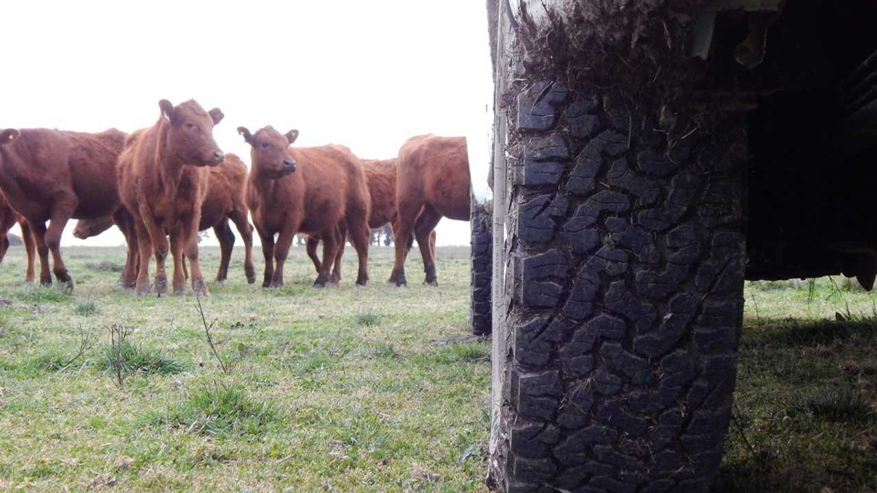 Opinión: “Se buscan pick-ups que piensen de verdad en el usuario del campo”