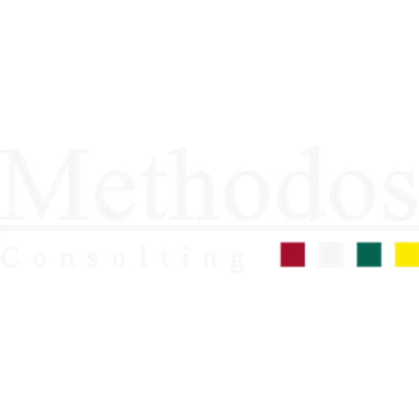 In collab. con Methodos Consulting