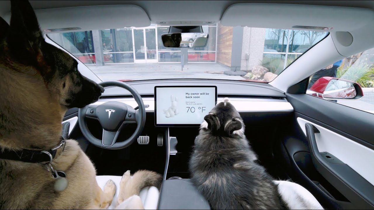 YouTube video player